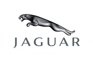 Sell Jaguar